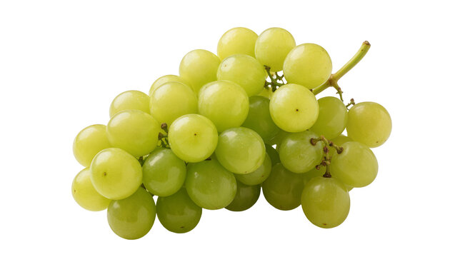 Fresh green grapes on a vine, isolated on transparent background