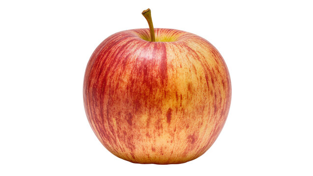 Red and yellow striped apple with stem, isolated on transparent background