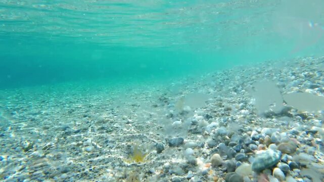 Underwater view of a translucent comb jelly refracting rainbow light in the clear Aegean Sea of Greece