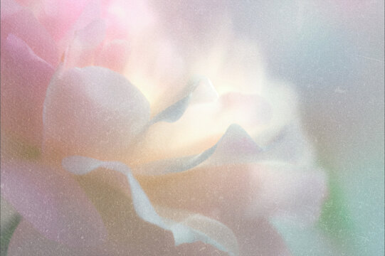 Abstract flowers in delicate soft focus with airy light, vintage texture, and romantic Y2K aesthetic creating a calm ethereal atmosphere