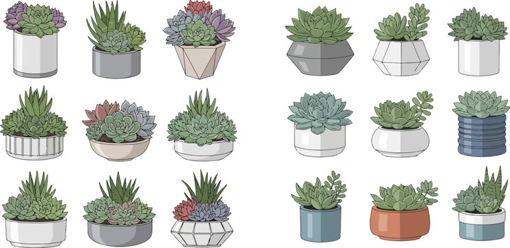 Set of potted succulent plants, hand-drawn vector illustration of various succulents in decorative pots, botanical collection for home decor.