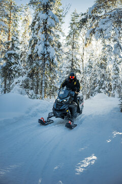 Rider driving snowmobile on snowy trail in winter forest