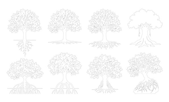 CAD line art tree with exposed root system side view elevation set, outline banyan mangrove and aerial root tree symbols for landscape and ecological design plans. Editable stroke, white fill vector.
