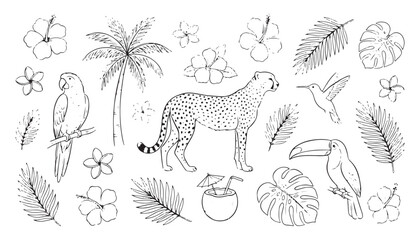 Fototapeta premium Tropical illustration featuring cheetah, birds, plants, and flowers in a natural style