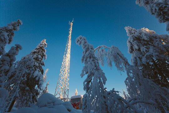 Low angle view of tall telecommunication tower above forest covered in thick white snow