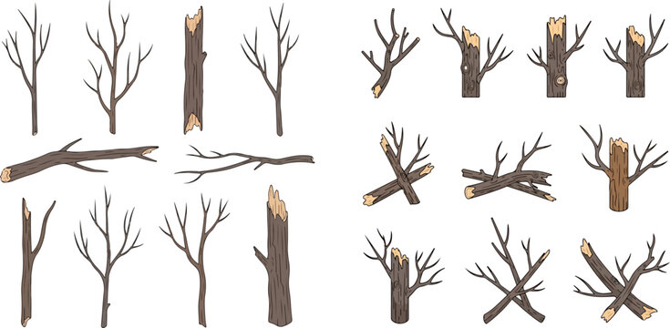 Set of broken tree branches and trunks, bare wood pieces, and dry twigs for campfire or nature-themed designs.