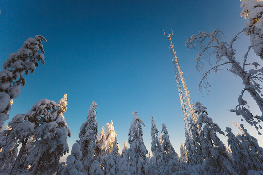 Low angle view of tall communication tower against sky in winter forest