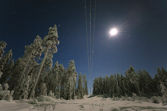 Idyllic view of full moon and stars over snow-covered pine forest