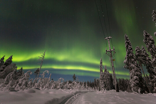 Idyllic view of bright green Northern Lights over snow-covered forest