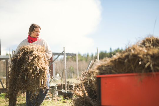 Woman stacking hay in trailer while working in farm