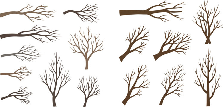 Set of bare tree branches and silhouettes of leafless trees, isolated on a white background, representing winter or autumn nature elements.