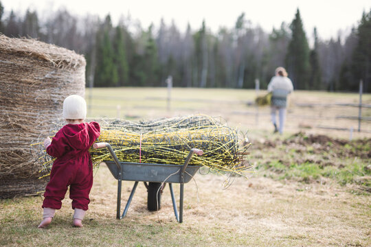 Toddler in red jumpsuit standing next to wheelbarrow full of branches