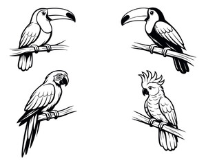 Naklejka premium Line art tropical bird set featuring toucans, a macaw, and a cockatoo for wildlife and nature designs