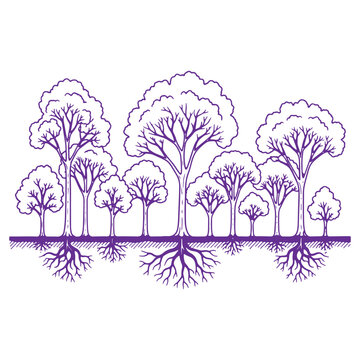 Illustration of trees with roots reflecting on a surface nature scene with purple outline