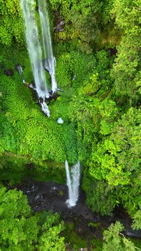 Aerial view of Sendang Gile Waterfall cascading through lush tropical jungle and dense green foliage in Kecamatan Bayan, Nusa Tenggara Barat, Indonesia.