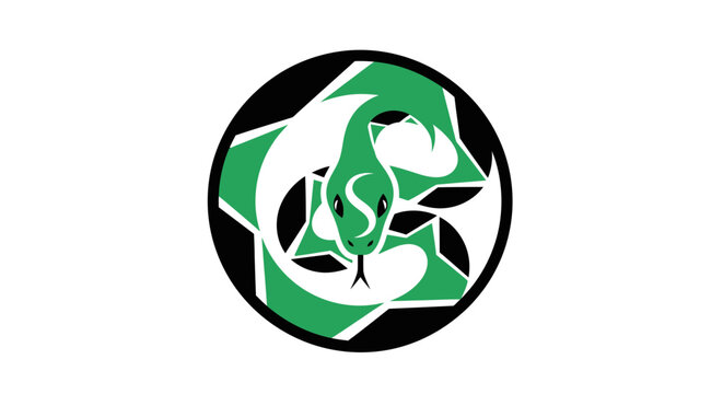 Abstract illustration of a green snake design with geometric elements in a circular frame