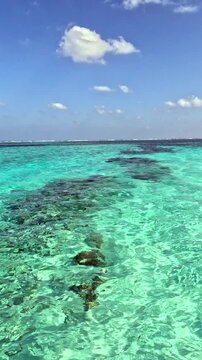 Crystal clear tropical ocean water with visible coral formations beneath the surface and blue sky above. Relaxing island seascape ideal for travel, vacation, wellness, summer, and tropical resort.
