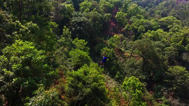 Tourist riding a zip line through dense forest in Mubarak Adventure Park at Attigundi, Inam Dattathreya Peeta, Chikkamagaluru, Karnataka, india. day time, push back shot, drone shot, 4k.