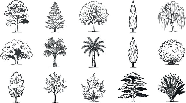 Vintage tree sketches set, 15 hand drawn botanical vector icons, black and white forest and garden plant illustrations for landscape design
