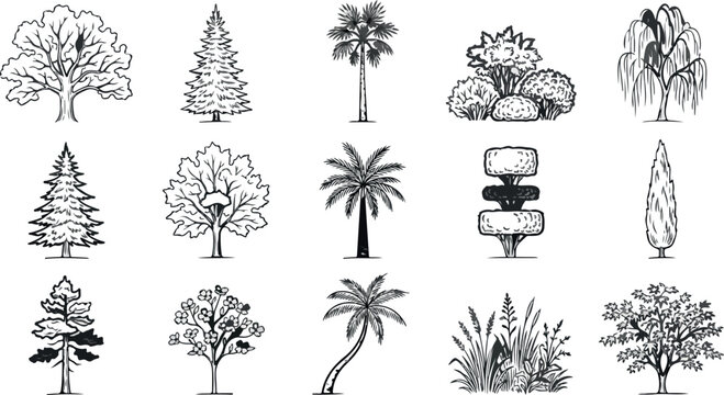 Vintage hand drawn tree collection, 15 black and white botanical vector illustrations, engraved garden plants and forest trees set for landscape design