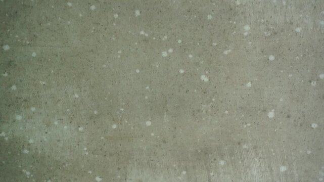 Close up background texture of grey drywall cement board with white paint splatters