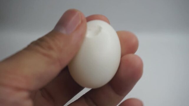Close-up of a human hand gently holding a small, white pigeon egg with a subtle crack on the shell. Concept of fragility, new life, hope, vulnerability, and delicate nature.