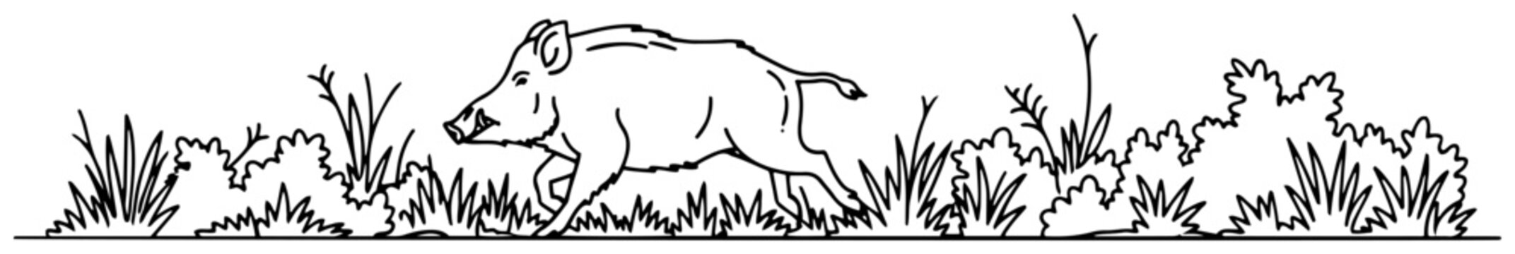 Wild boar running through grass and bushes in forest landscape nature sketch illustration