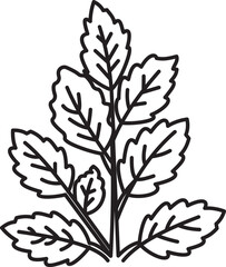 Minimalist mint leaf vector illustration, fresh peppermint sprig icon, herbal tea plant outline © kazi