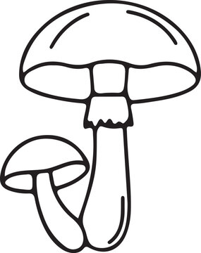 Minimalist mushroom line art vector, hand drawn fungi illustration, black and white forest plant