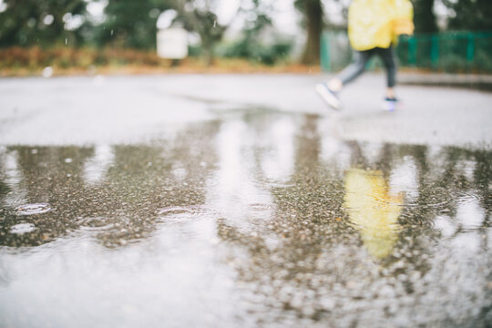 Child walking near puddle on rainy day with soft reflection