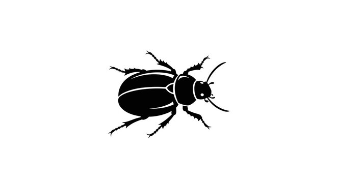 Black Beetle Insect Closeup Side View.
