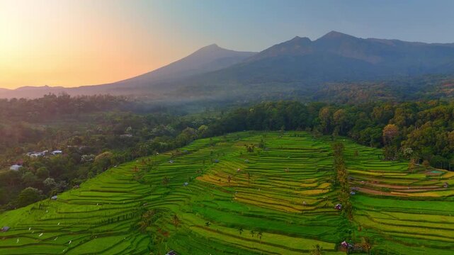 Aerial view of the lush Senaru Rice Fields terraces with Mount Rinjani in the background during a golden sunset in Bayan, West Nusa Tenggara, Indonesia.