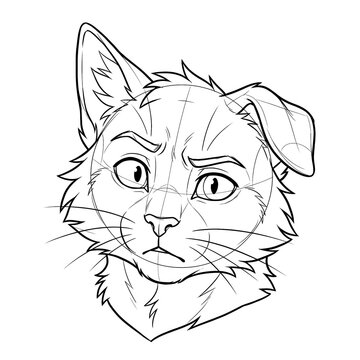 Hand drawn sketch of male furry domestic cat head base in front view showing confused expression isolated on white background. Anime illustration.