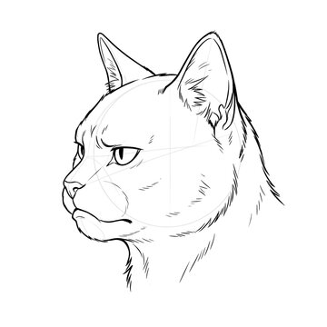 Hand drawn sketch of male furry domestic cat head base in side profile view showing pouting expression isolated on white background. Anime illustration.