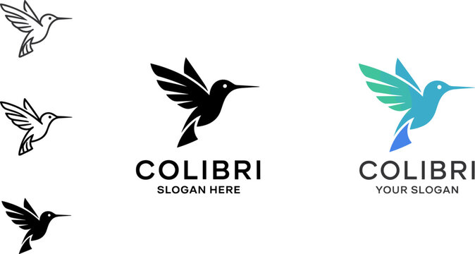 Elegant Colibri Hummingbird Logo Design Collection in Black Silhouette, Outline, and Blue Green Gradient Vector Template Set