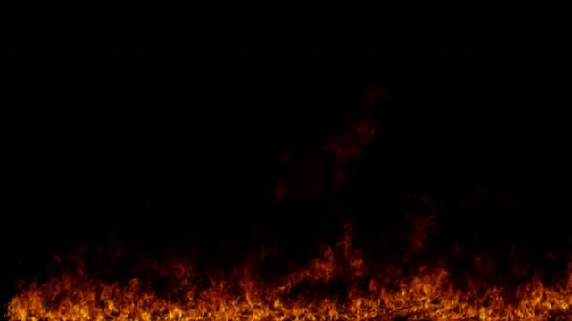 Realistic fire flames burning intensely across the bottom of a black screen.