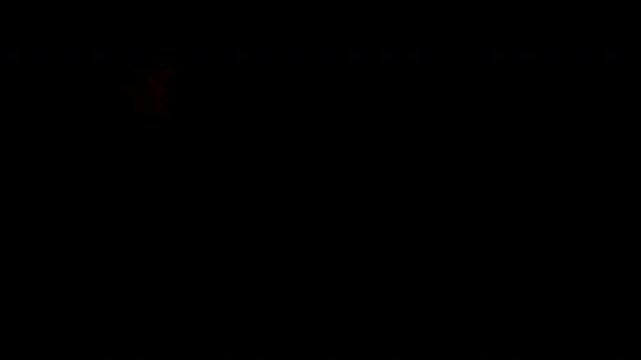 Solid Black Screen Background Loop for Text or Graphics.