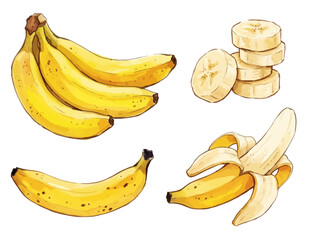 Item-style fresh banana fruit illustration, elegant vibrant yellow peel for organic healthy breakfast branding ／ バナナのイラスト © BN studio