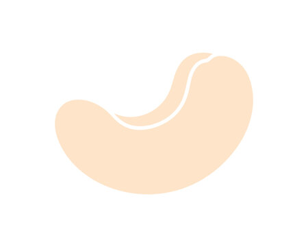 Cashew nut illustration, food ingredient, simple graphic
