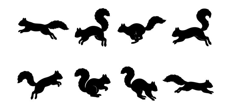 Squirrel Silhouette Set: Action Poses, Running, Jumping, Wildlife Vector Graphics