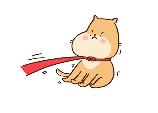 Shiba inu dog resisting and planting its feet while being pulled on a leash, stubbornness concept