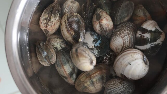 Close-up of cooking fresh clams in a pan with lemon, garlic and herbs