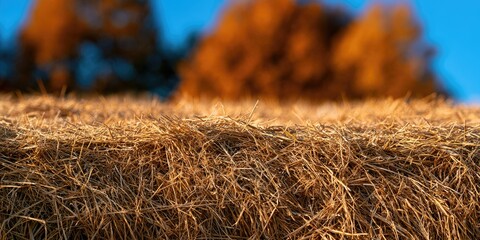 Naklejka premium Golden hay bale in soft focus against a vibrant blue sky and warm foliage