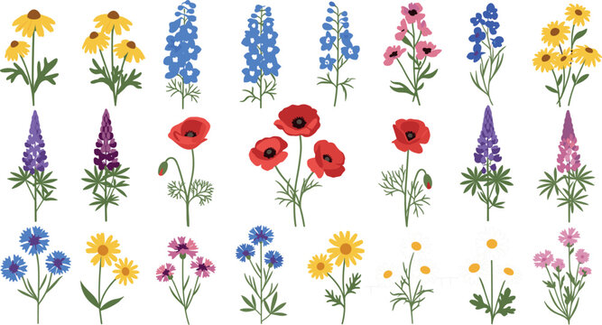 Colorful Wildflower Bouquet Icon Set with Poppy, Delphinium, Lupine, Rudbeckia, Cornflower, and Daisy Stems for Nature and Floral Design Projects