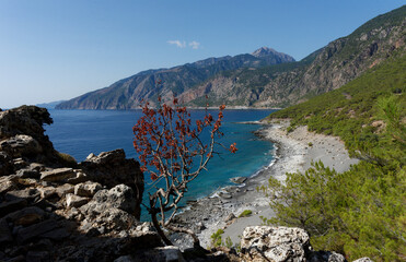 Fototapeta premium Kreta - Agia Roumeli - Wanderweg nach Loutro