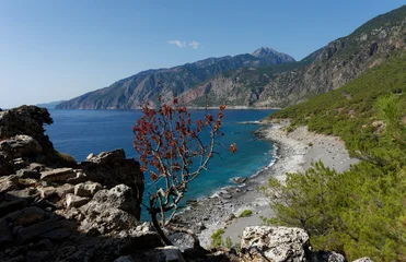 Fototapeten Küste Kreta - Agia Roumeli - Wanderweg nach Loutro  © Uwalthie Pic Project