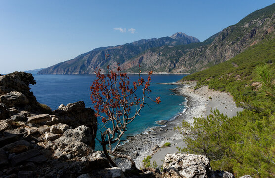 Kreta - Agia Roumeli - Wanderweg nach Loutro