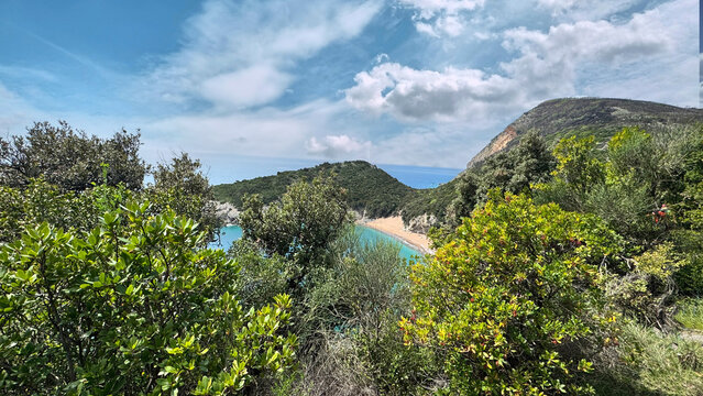 Kraljichna beach coastline framed by Mediterranean scrub and turquoise sea