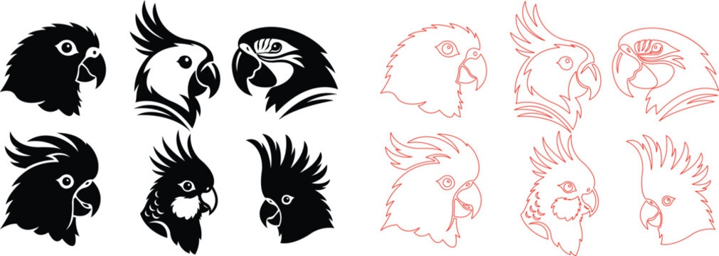 Collection of various parrot head silhouettes and line art illustrations on white background