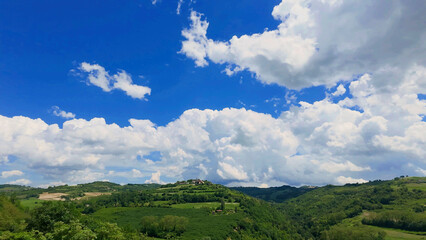 Fototapeta premium Fluffy White Clouds Over Lush Green Piedmont Rolling Hills and Vineyards